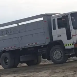 Бортовой грузовик Volvo FL 619, 1996