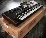 Синтезатор Korg Pa5X-3