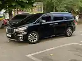 Kia Carnival, 2014-3