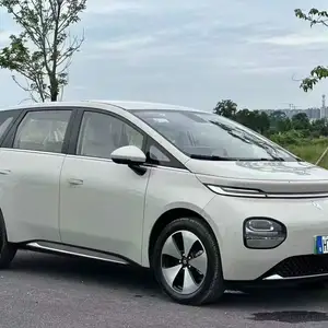 Wuling Bingo plus, 2024