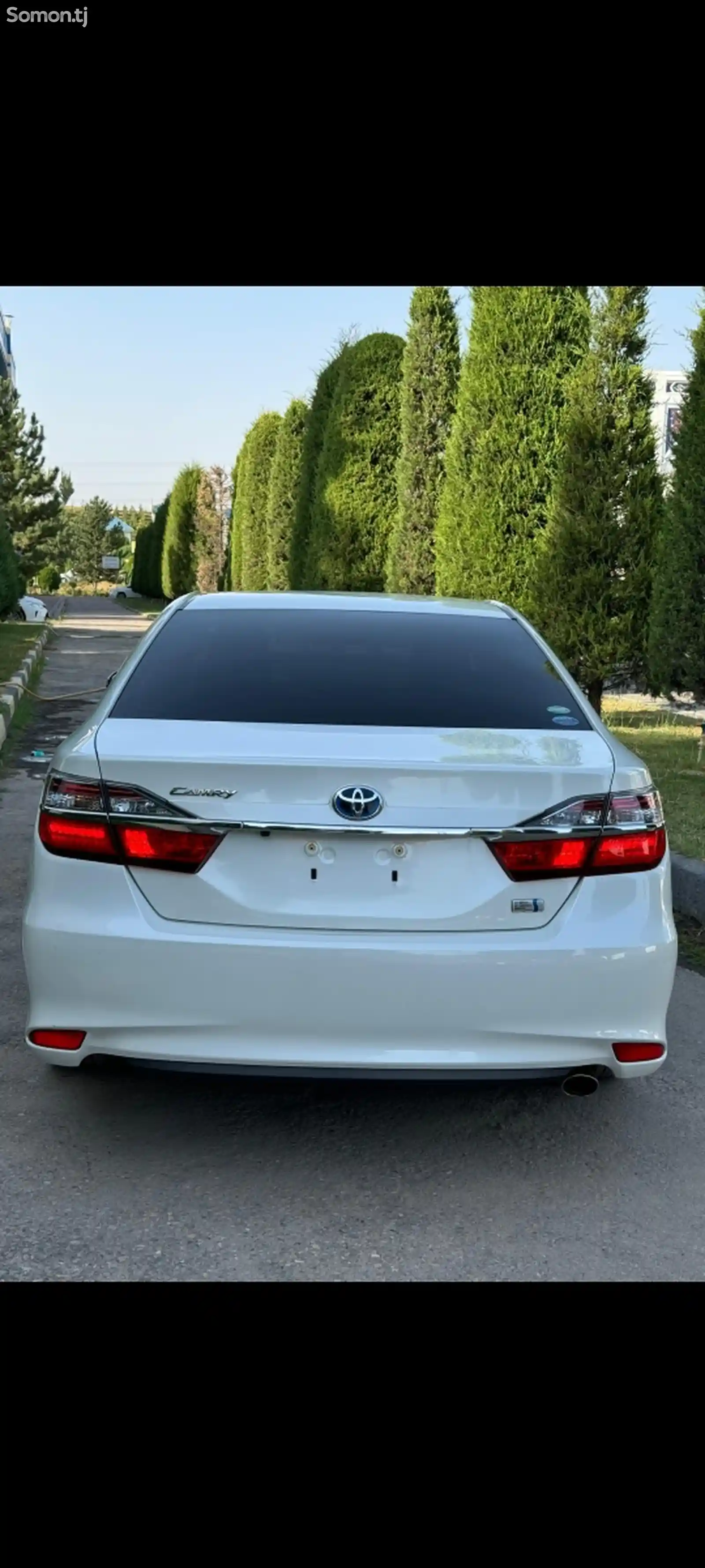 Toyota Camry, 2015-10