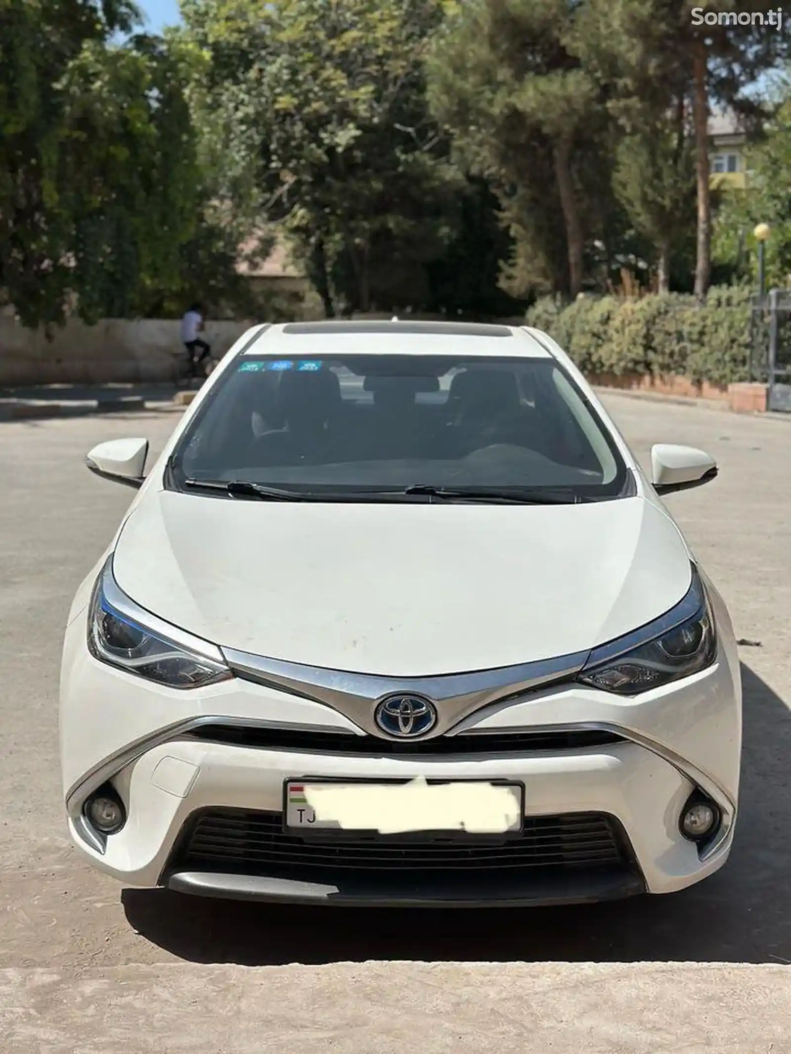 Toyota Corolla, 2019-1