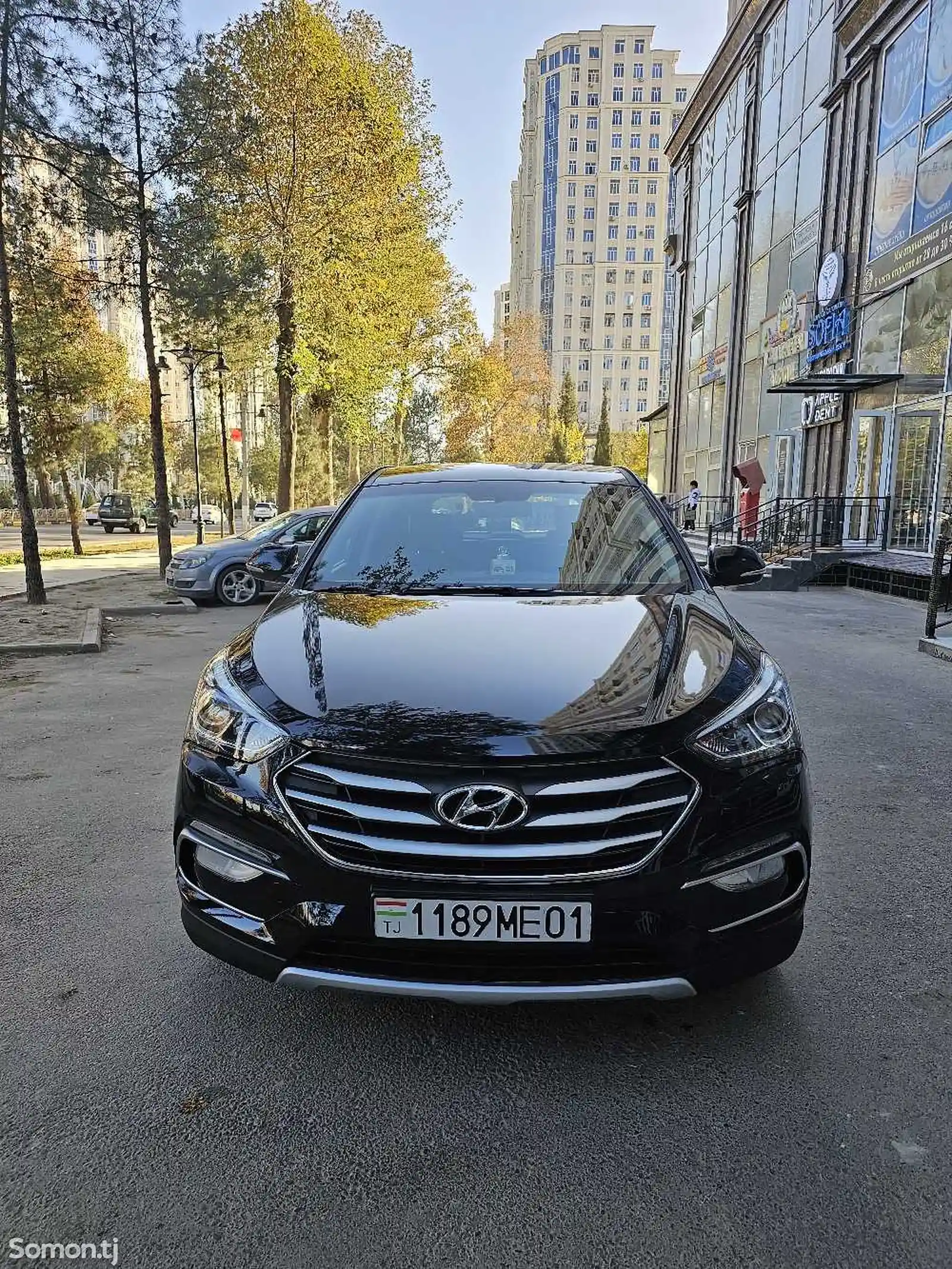 Hyundai Santa Fe, 2016-13