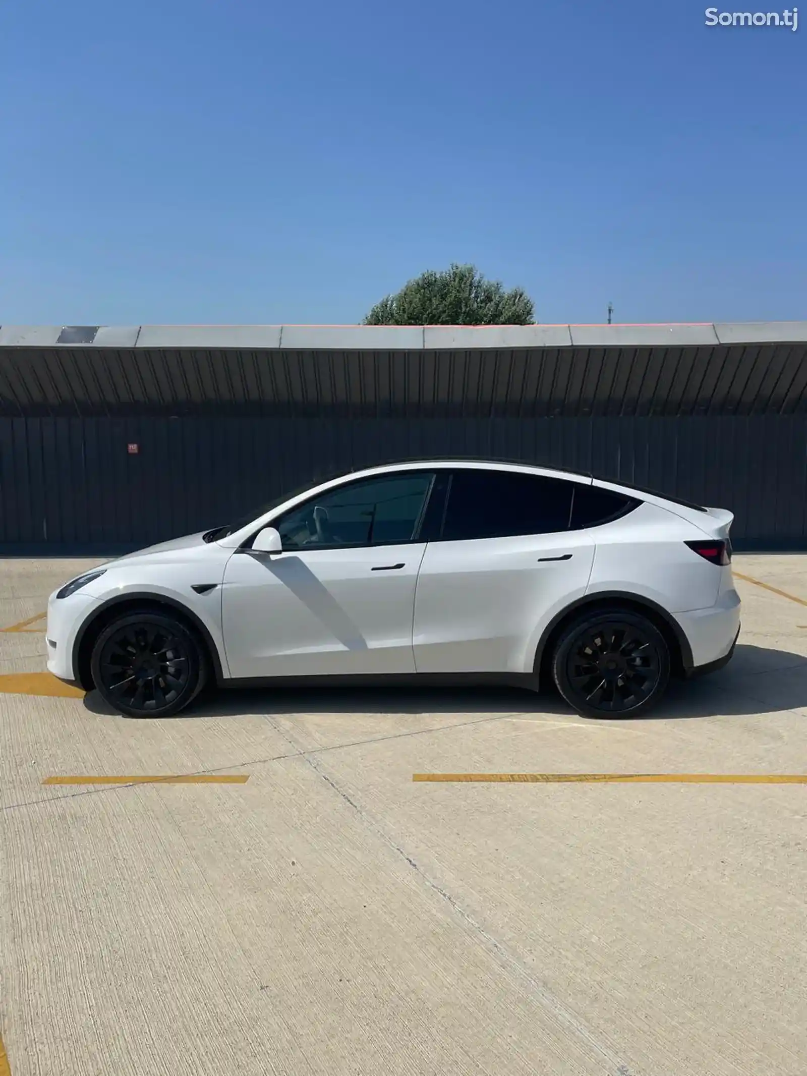 Tesla Model Y, 2022-1