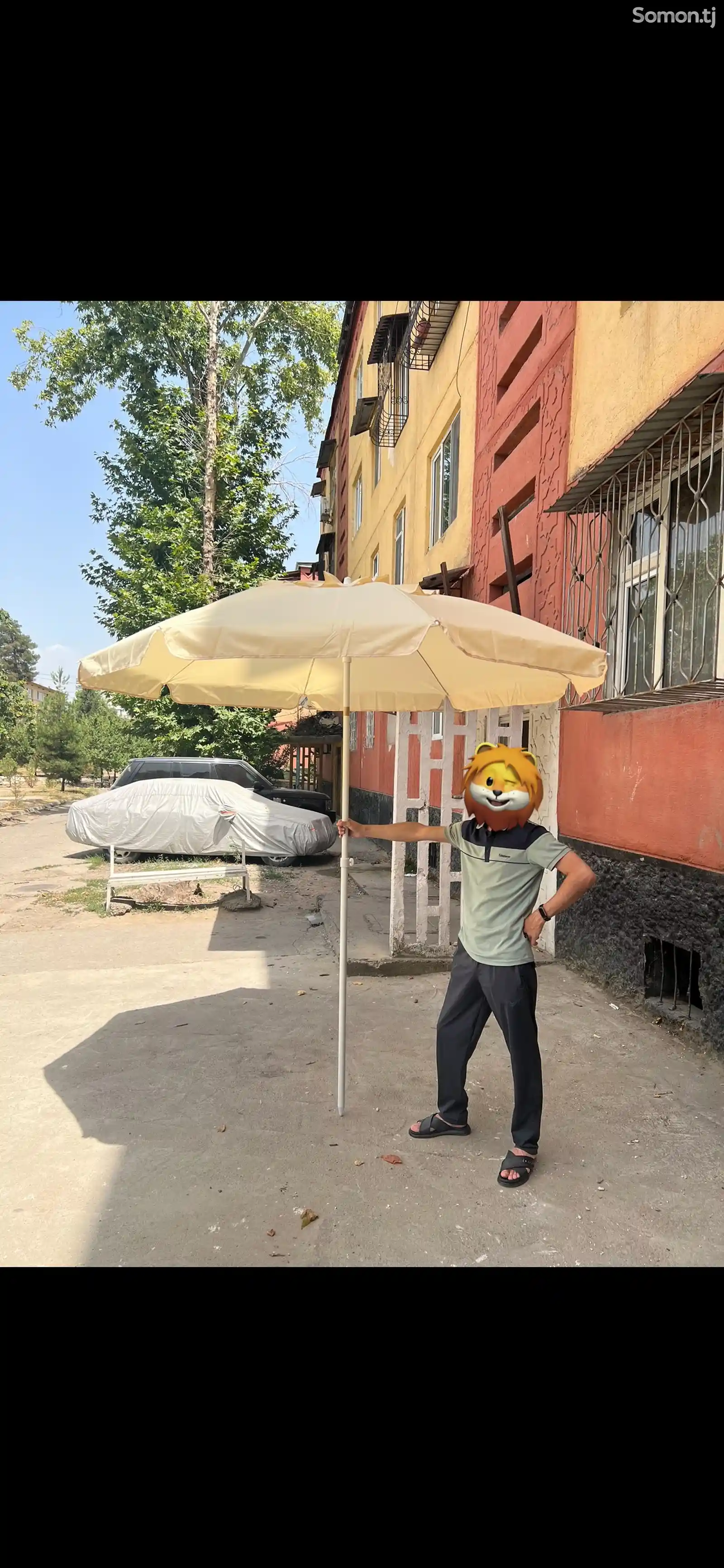 Зонт-2
