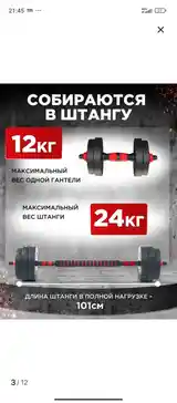 Гантели 24kg-3