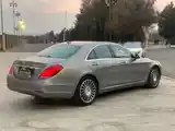 Mercedes-Benz S class, 2015-4