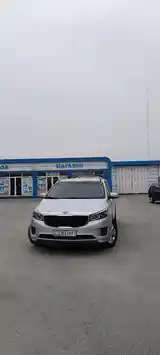 Kia Carnival, 2016-3