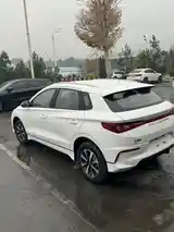 BYD E2, 2024-4