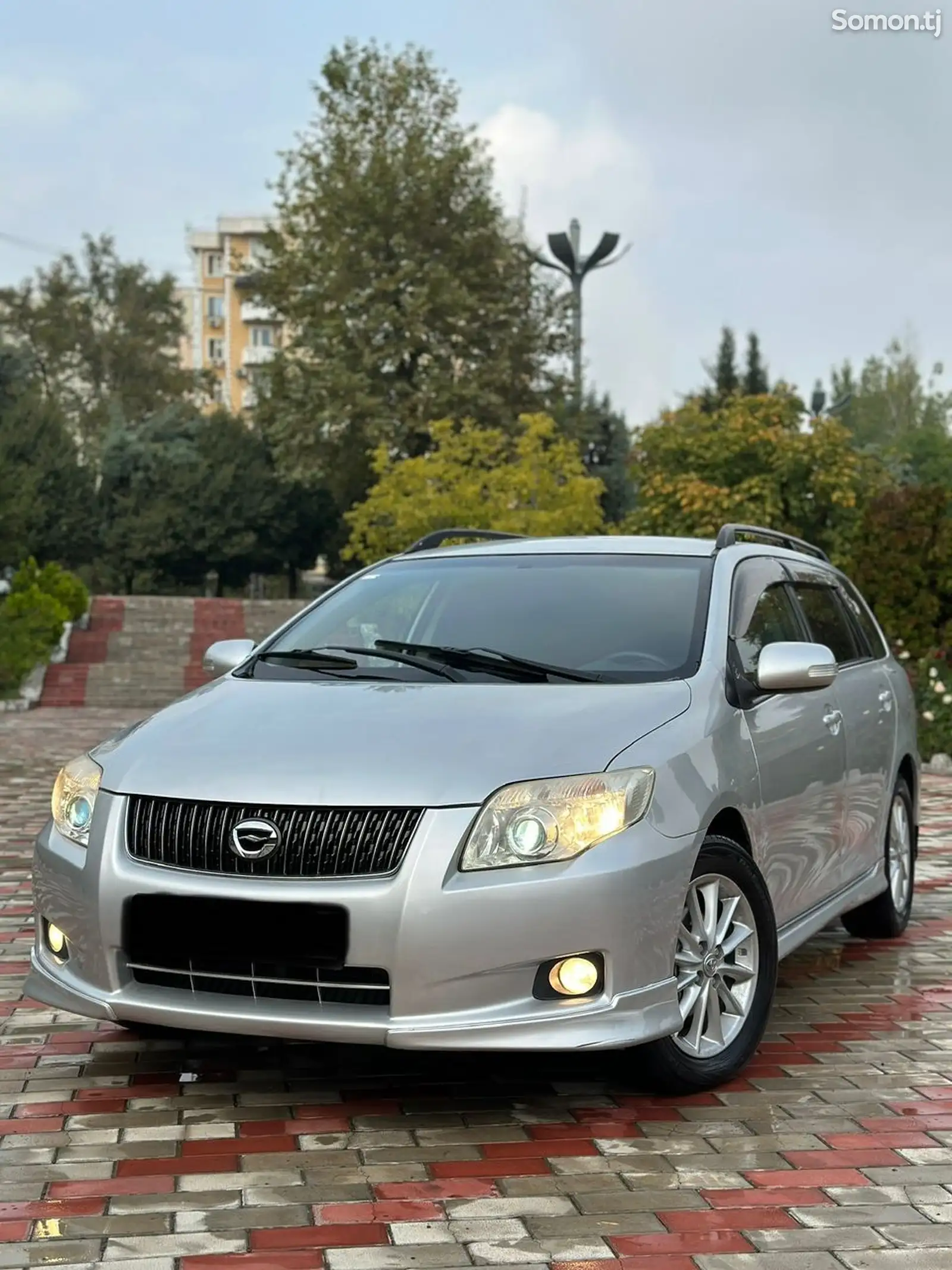 Toyota Fielder, 2008-1