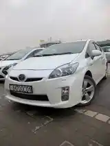 Toyota Prius, 2009-2