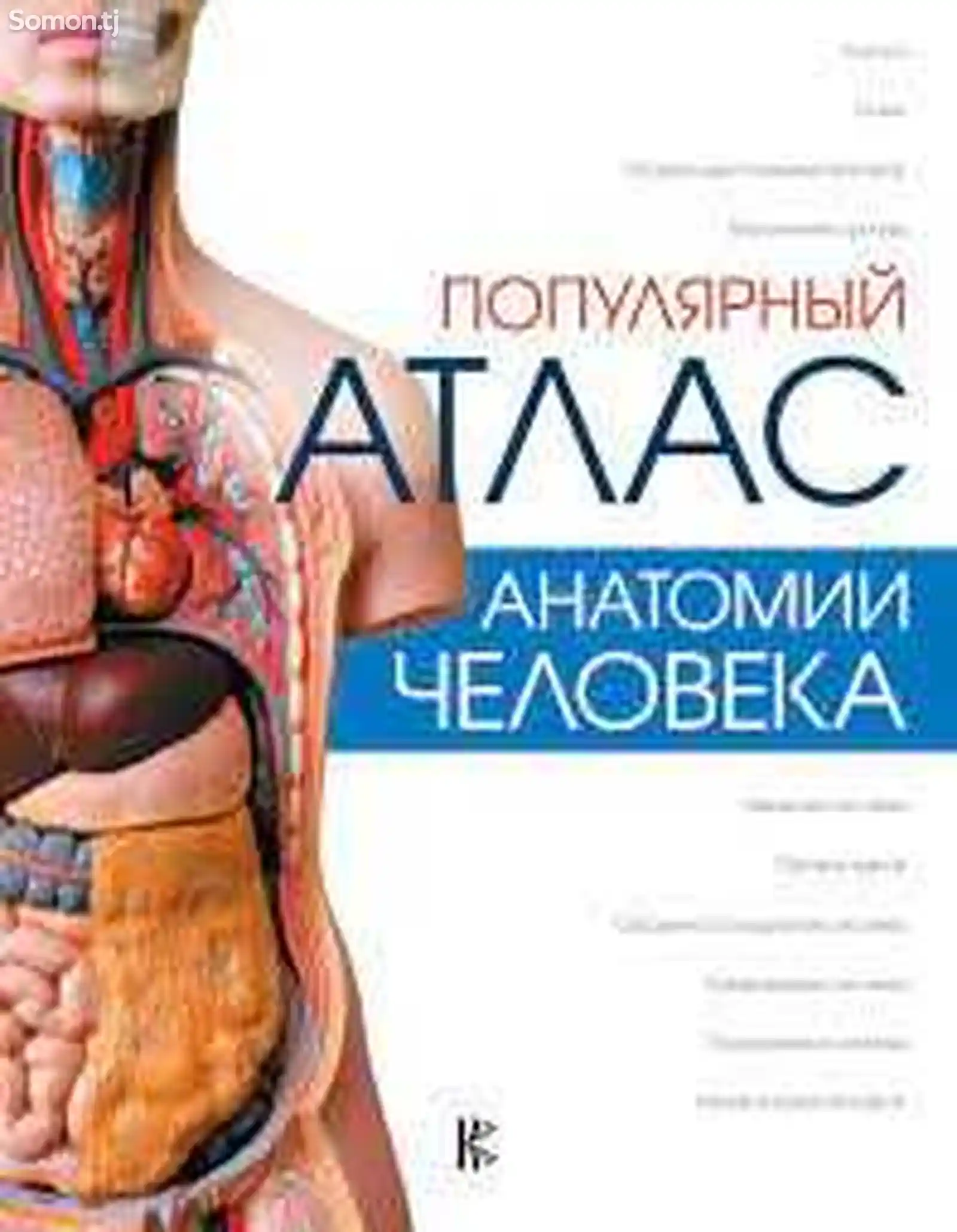 Книга - Анатомия человека 2 Том-2