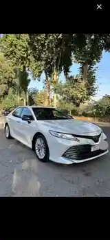 Toyota Camry, 2019-3