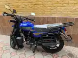 Мотоцикл-GLX-Suzuki 200 куба-4