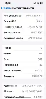 Apple iPhone 13 Pro, 256 gb, Alpine Green-4