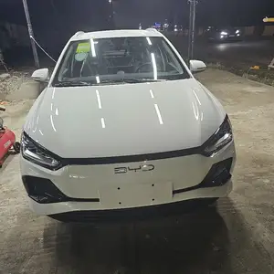 BYD E2, 2024