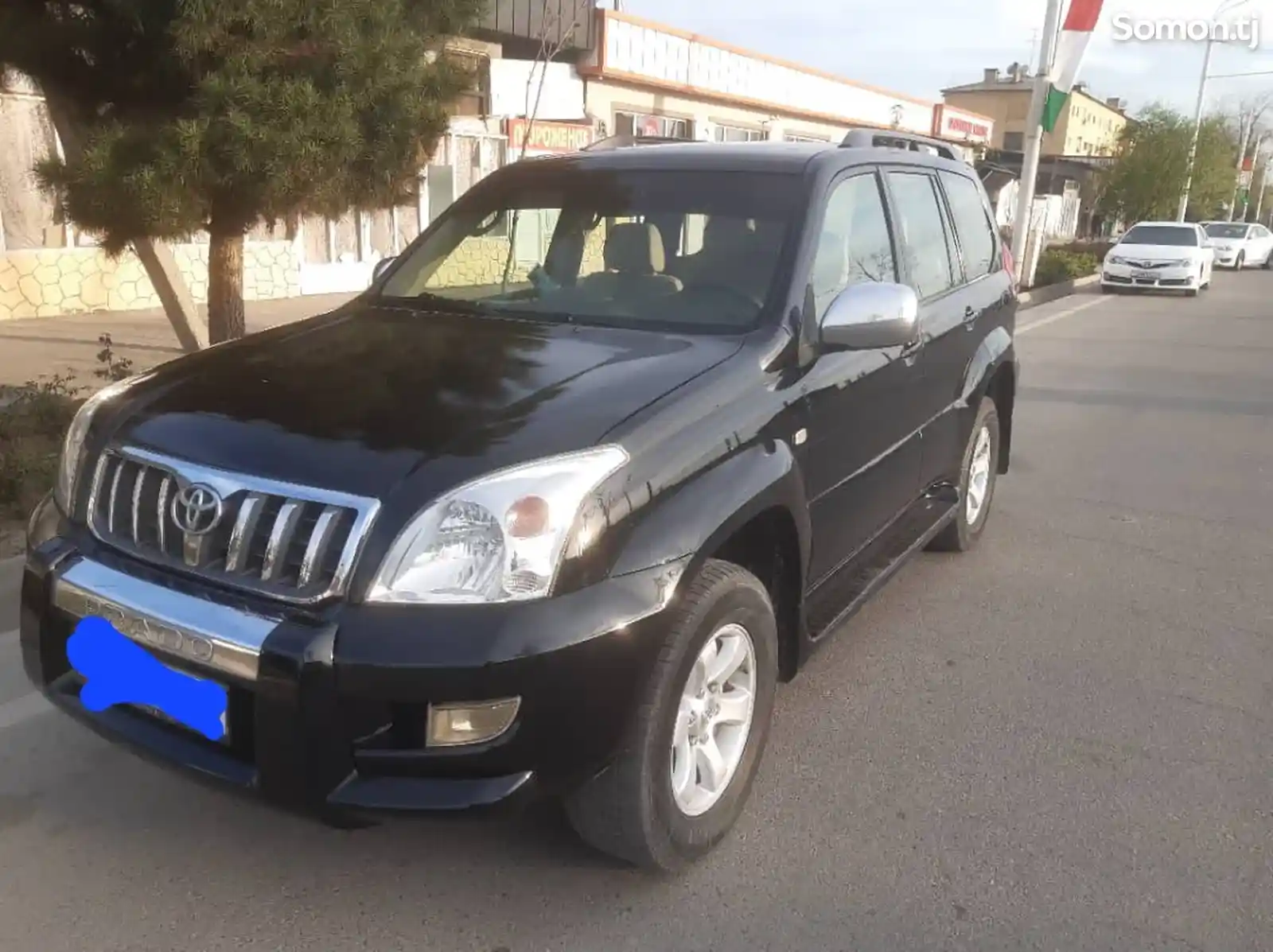 Toyota Land Cruiser Prado, 2009-5