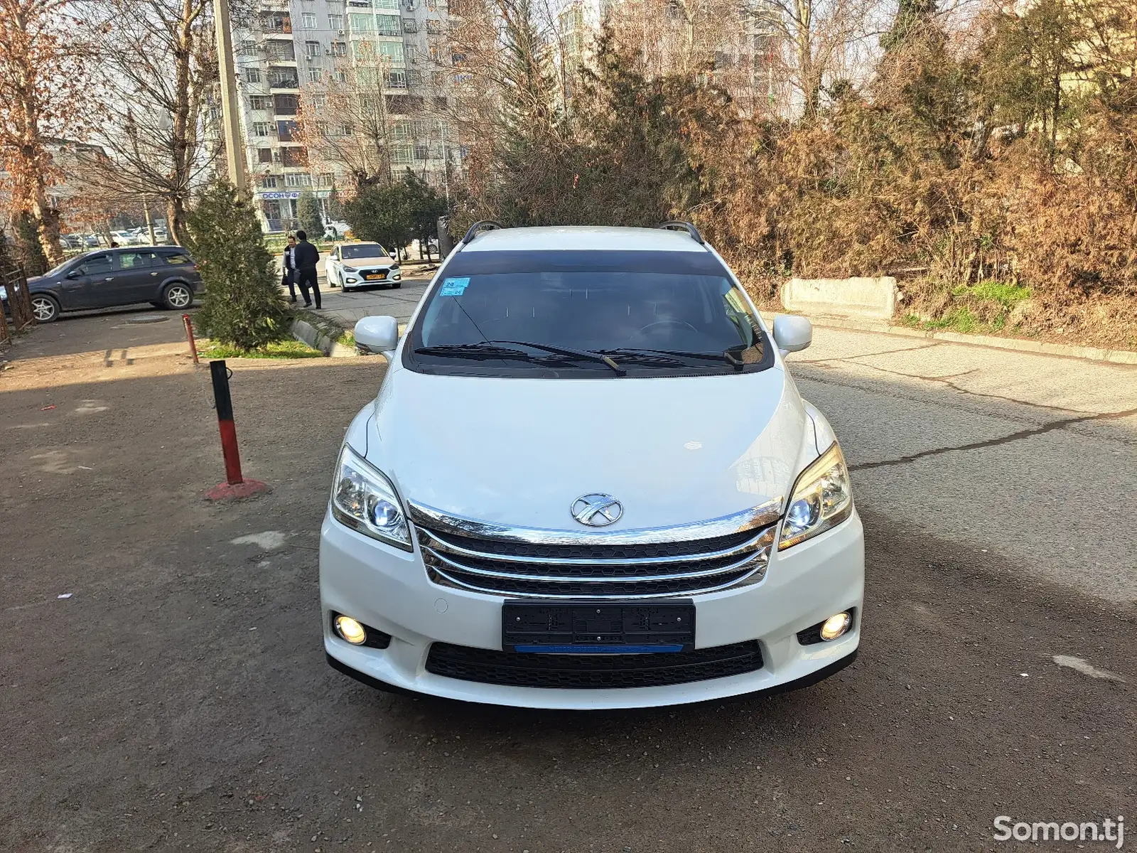 Toyota Mark X ZiO, 2010-1