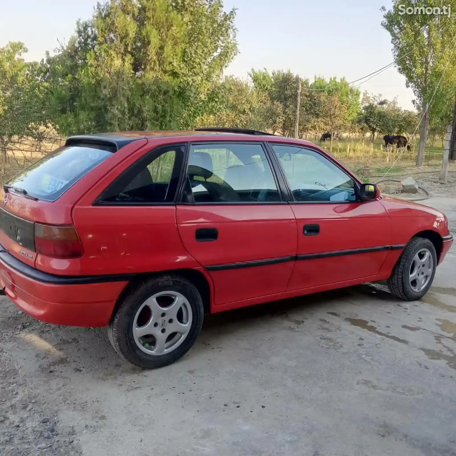 Opel Astra F, 1995-3