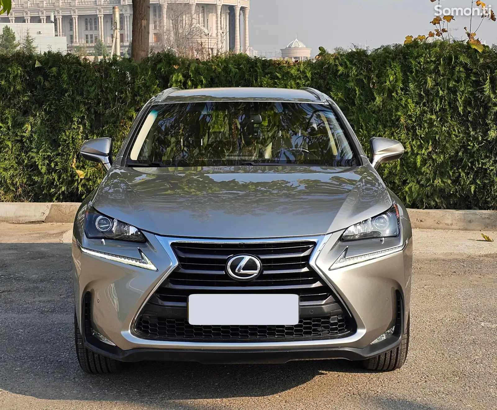 Lexus NX series, 2016-1