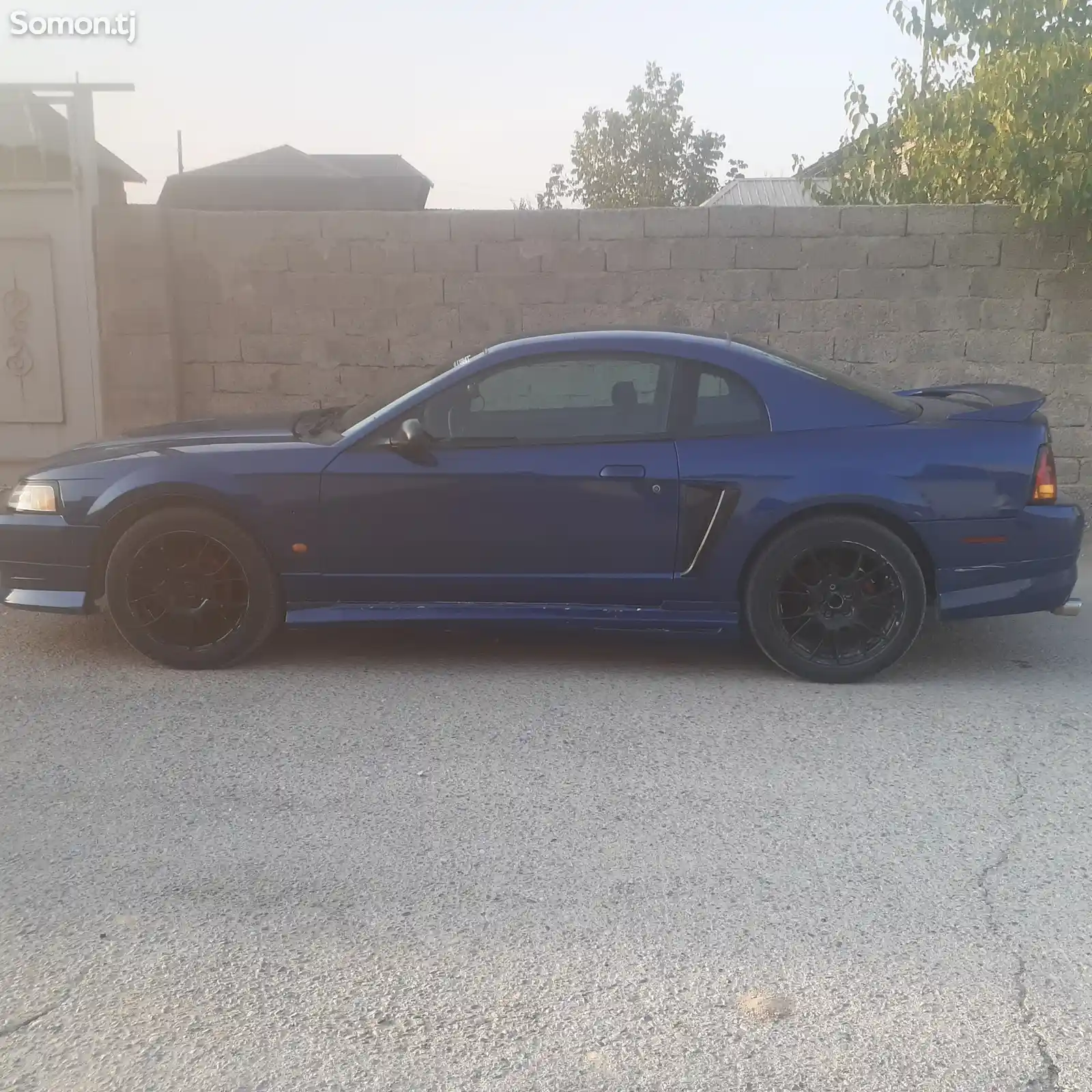 Ford Mustang, 2000-8