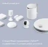 Колонка Алиса станция 2, Zigbee-8