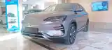 BYD Song Plus Flagship, 2024-2