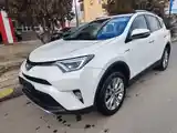 Toyota RAV 4, 2017-4