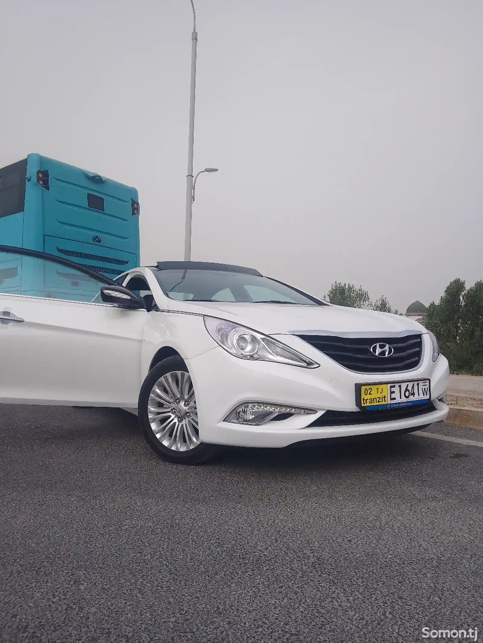 Hyundai Sonata, 2010-1