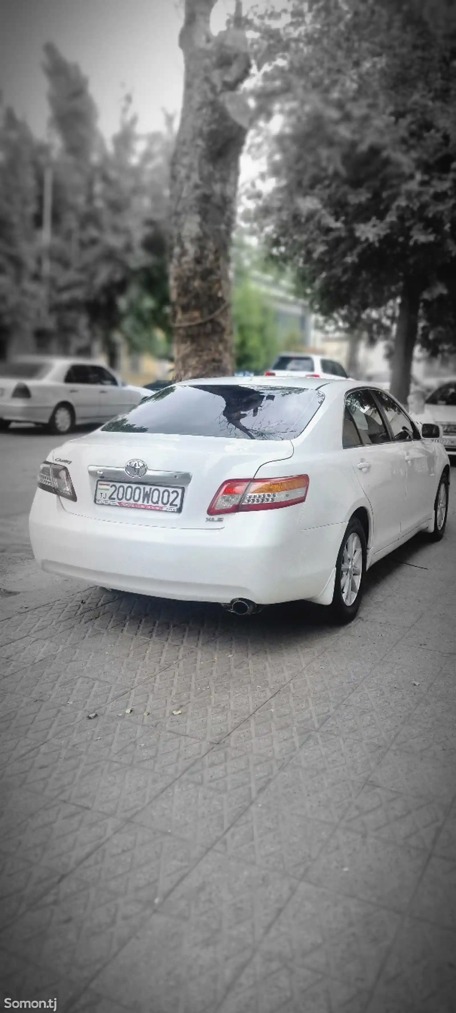 Toyota Camry, 2010-2