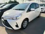 Toyota Vitz, 2019-2