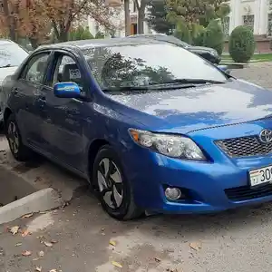 Toyota Corolla, 2010