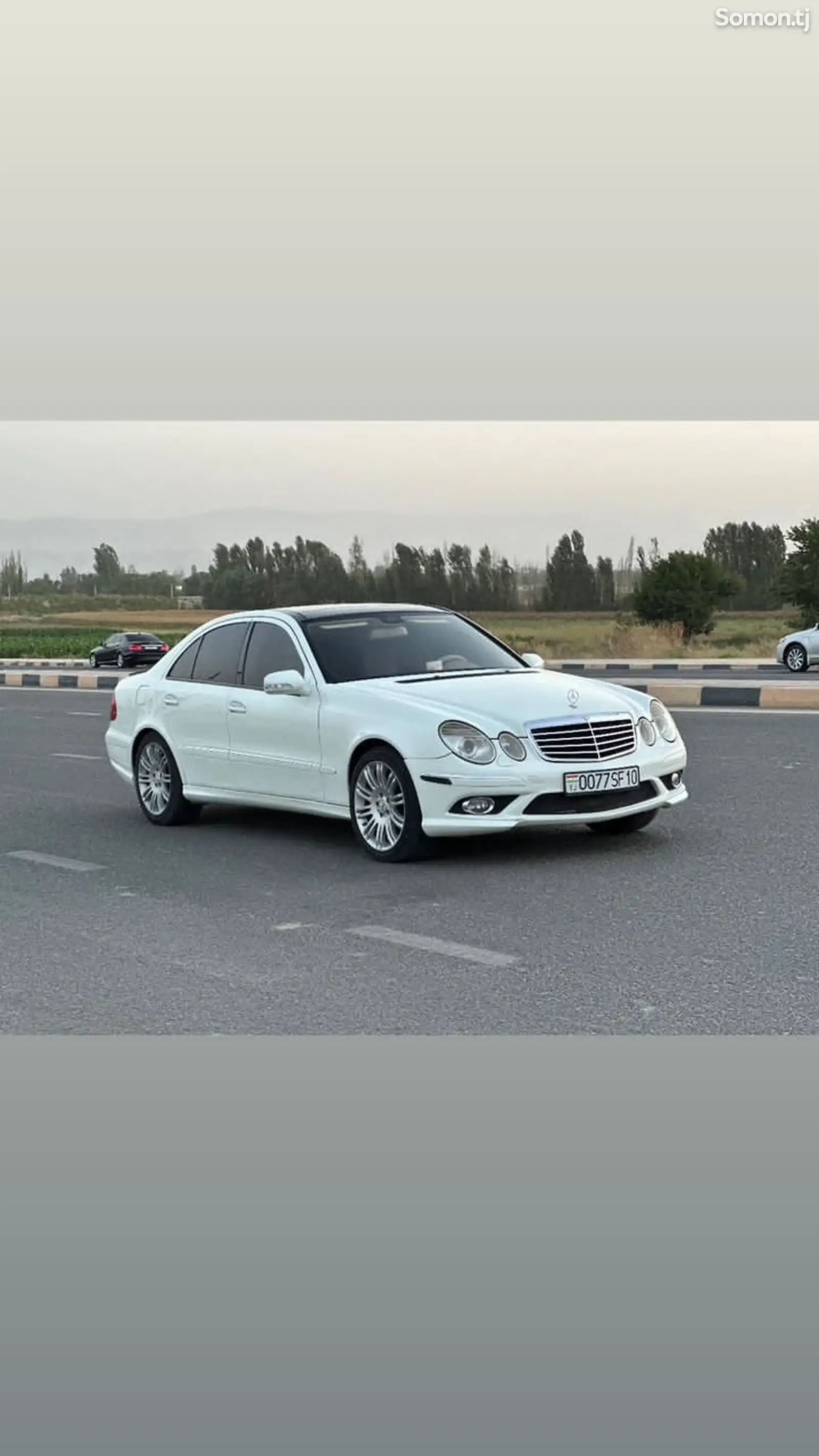 Mercedes-Benz E class, 2009-1