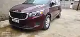 Kia Carnival, 2016-3