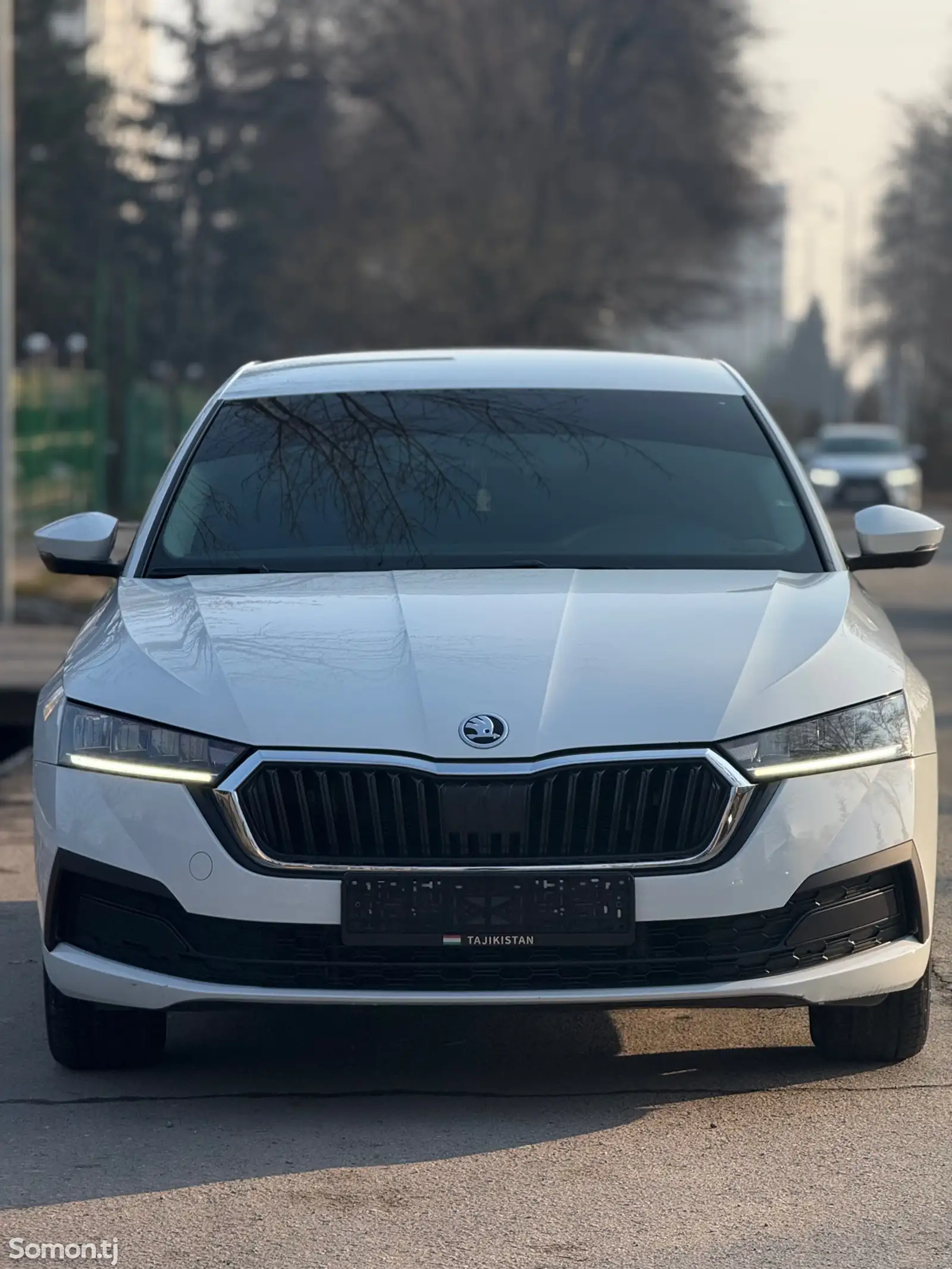 Skoda Octavia, 2022-1