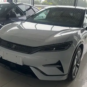 BYD Song, 2024