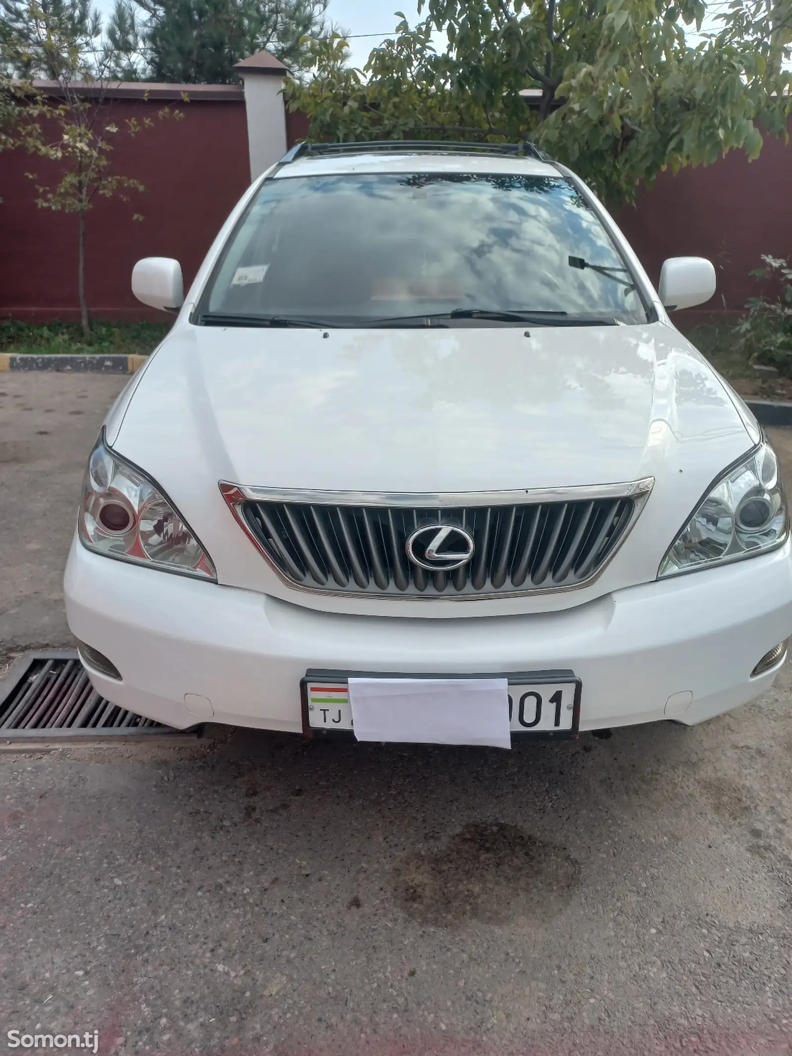 Lexus RX series, 2008-9