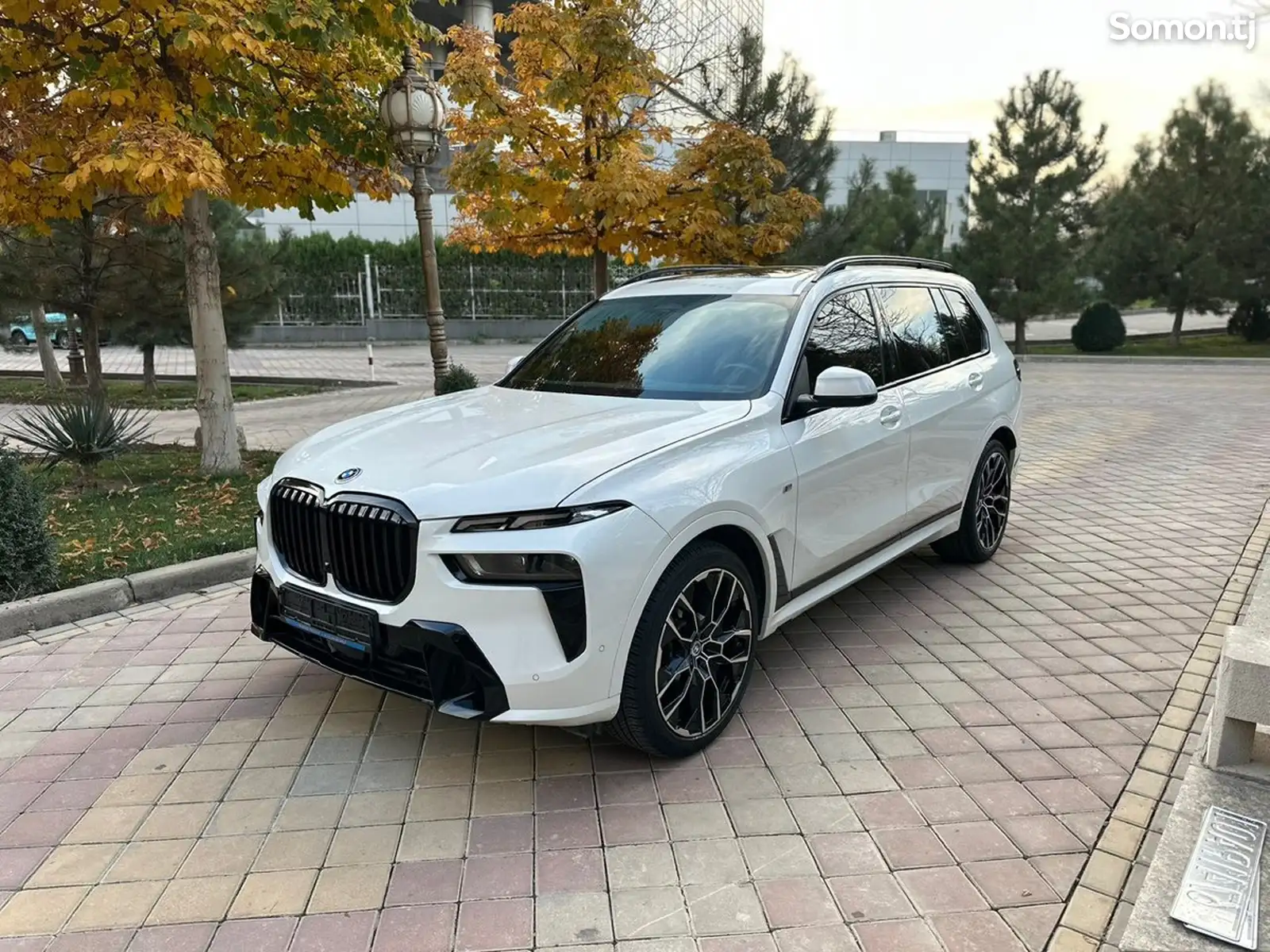 BMW X7, 2023-1