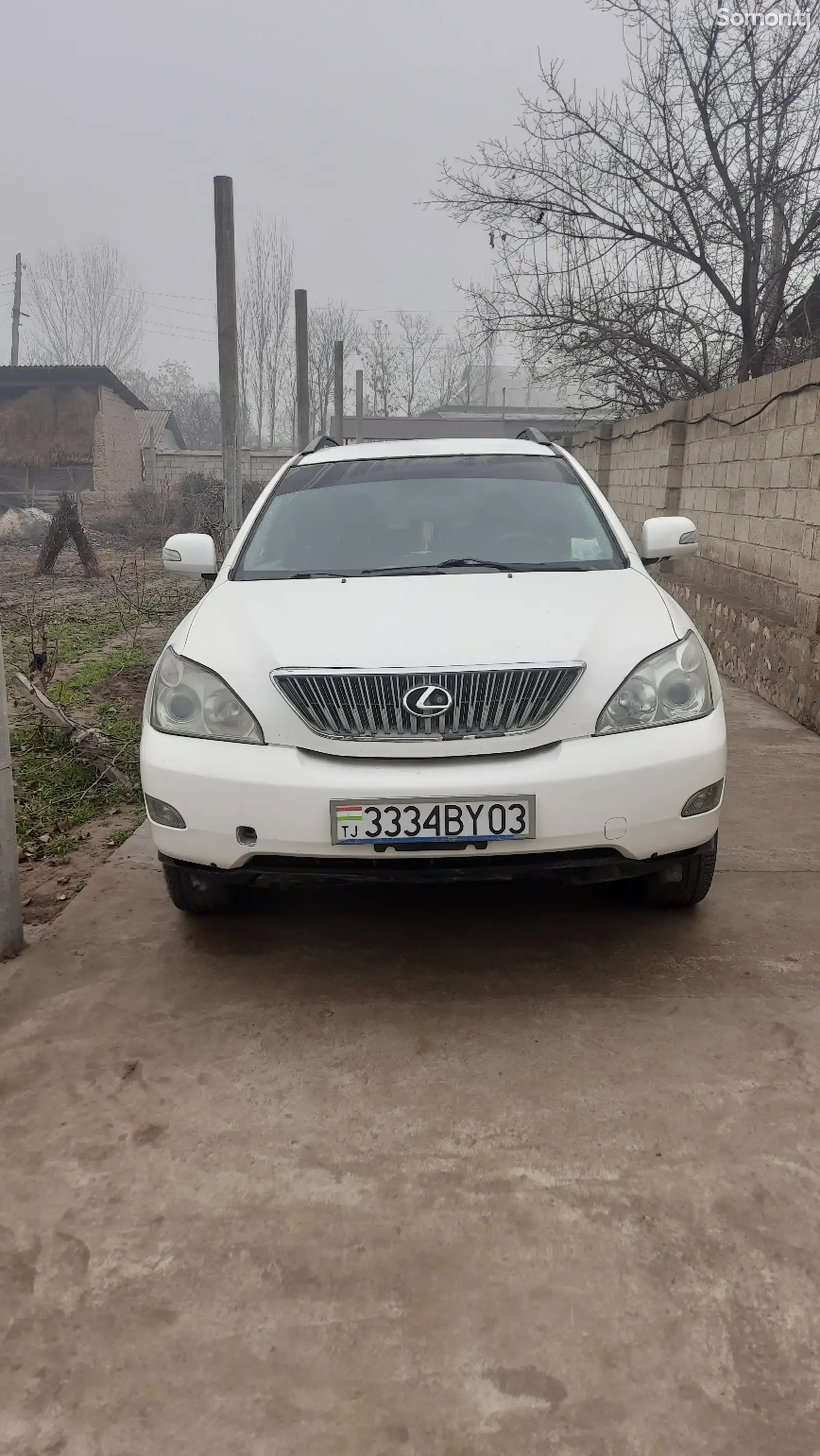 Lexus RX series, 2005-1