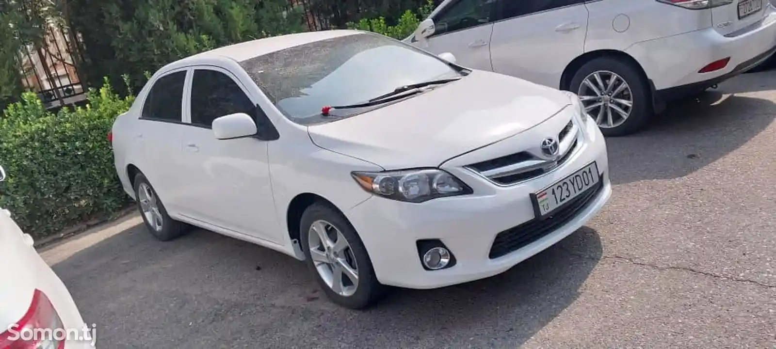 Toyota Corolla, 2010