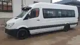 Микроавтобус Mercedes-Benz Sprinter, 2010-4