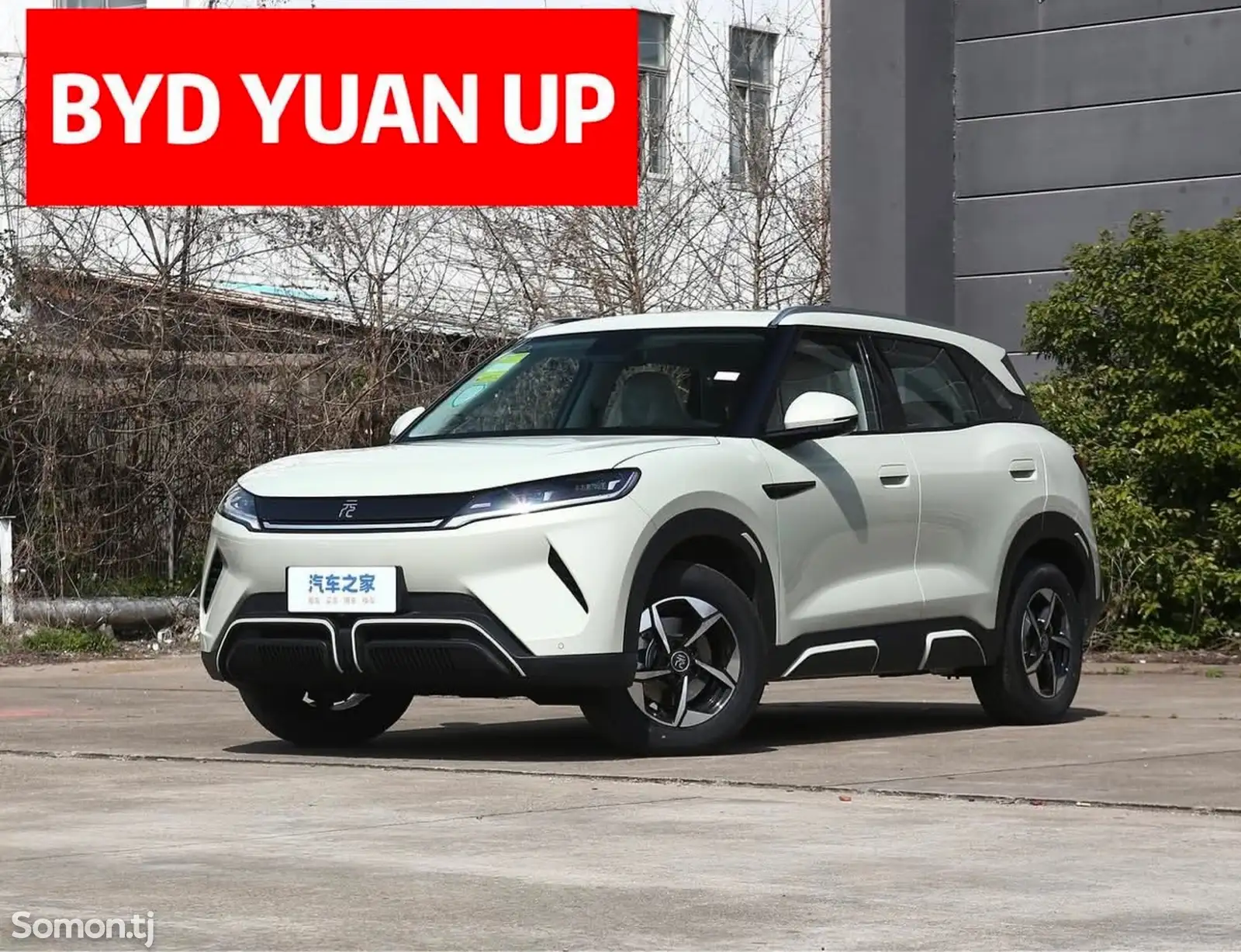 BYD Yuan Up, 2024-1