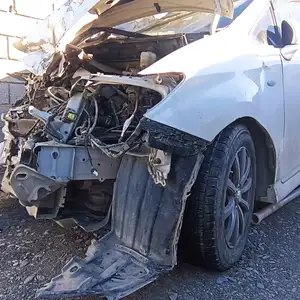 Toyota Wish, 2010