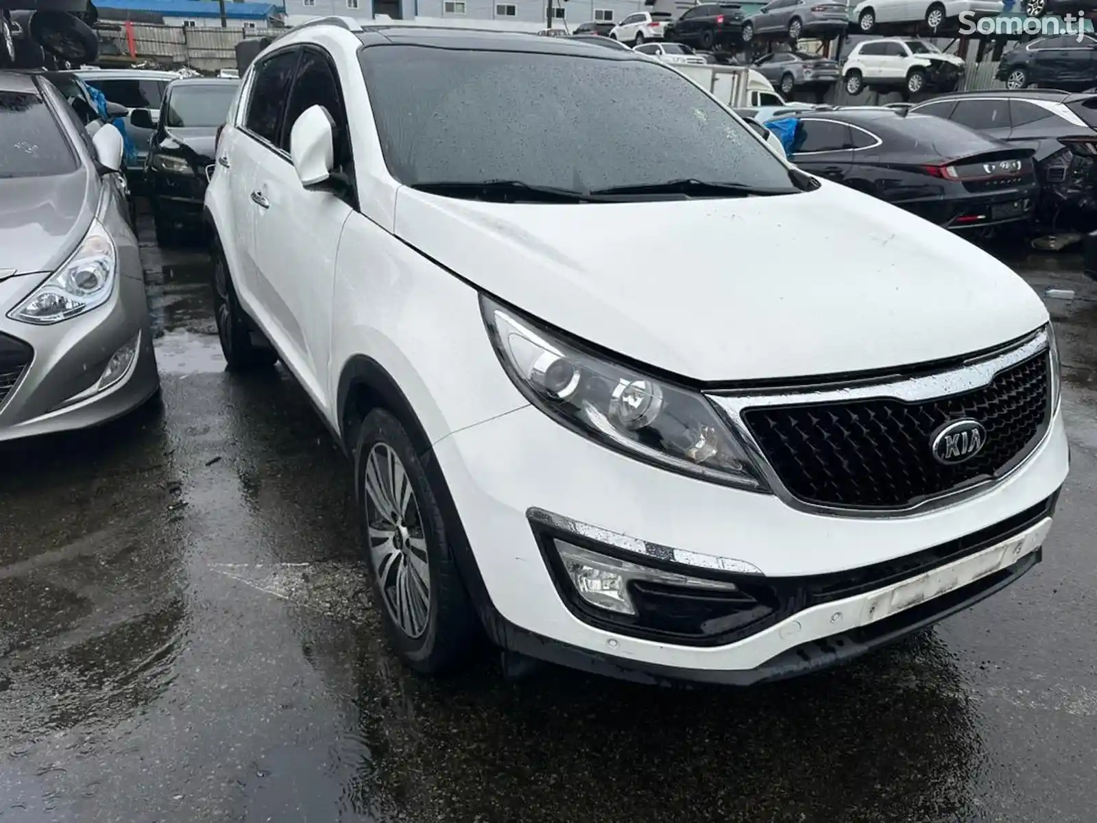 Kia Sportage, 2015-1