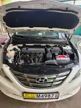 Hyundai Sonata, 2010-13