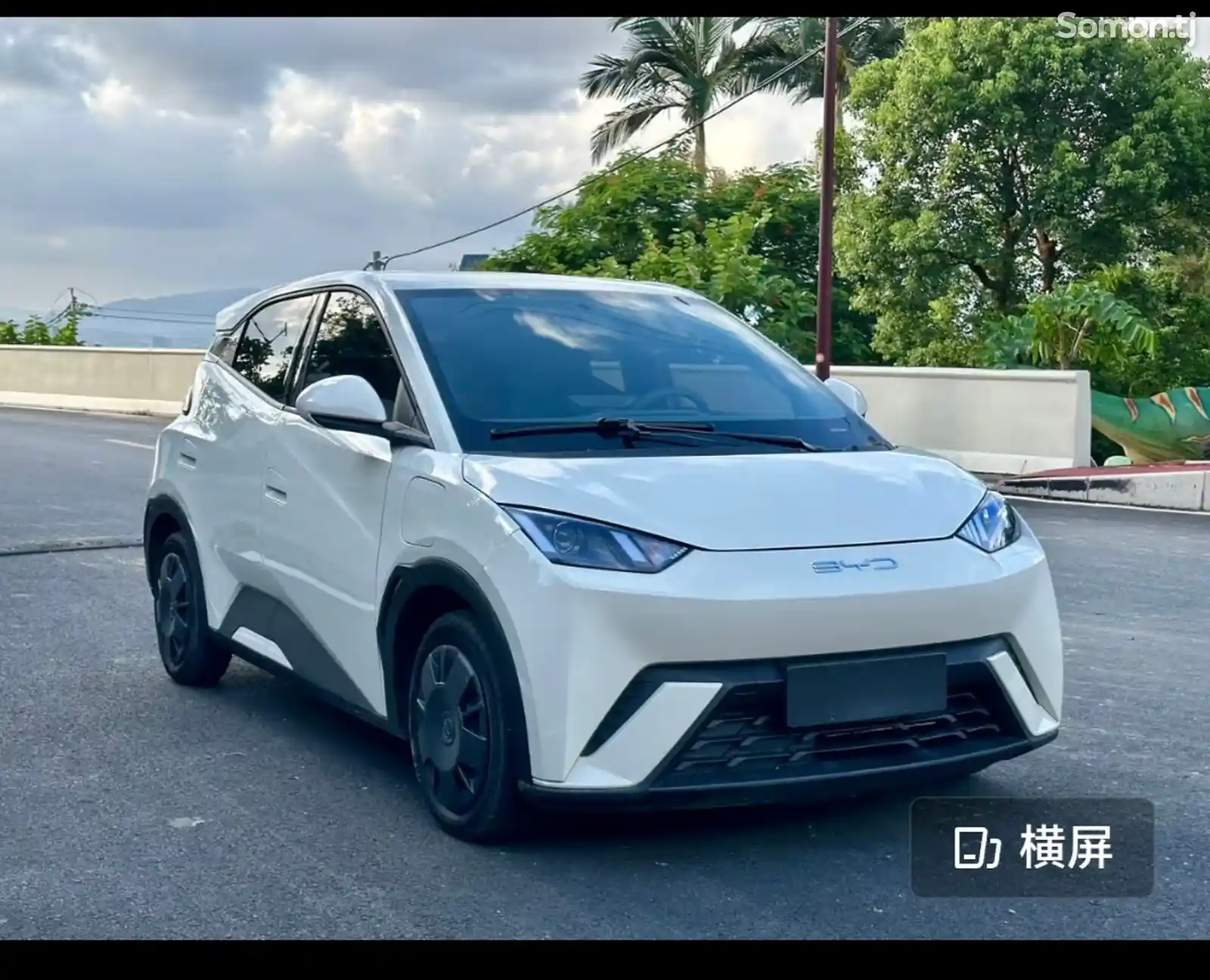 BYD Seagull, 2024-1