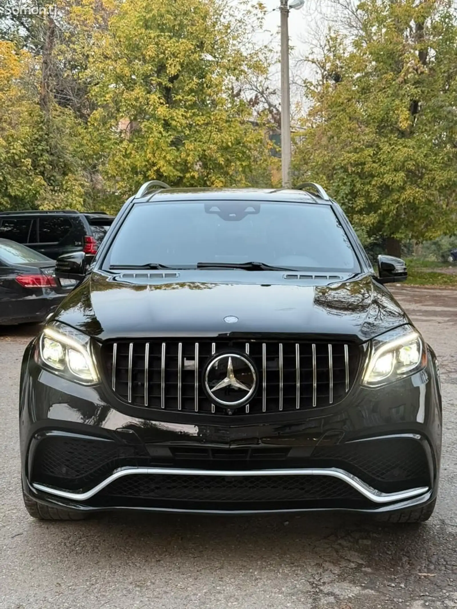 Mercedes-Benz GLS class, 2016-1