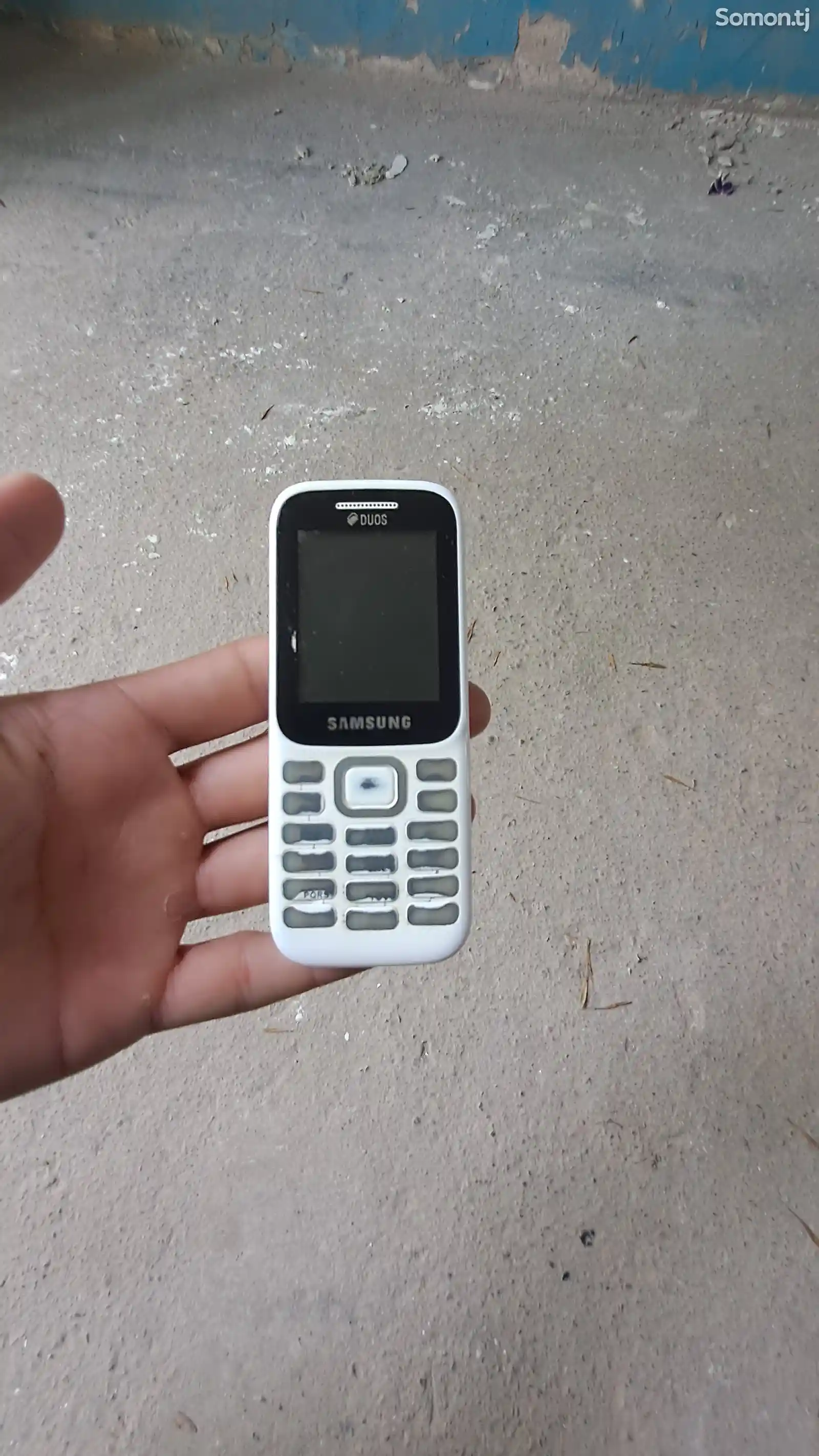 Samsung Galaxy B310E-1