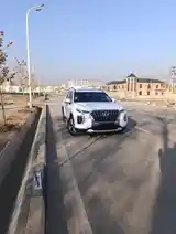 Hyundai Palisade, 2019-4