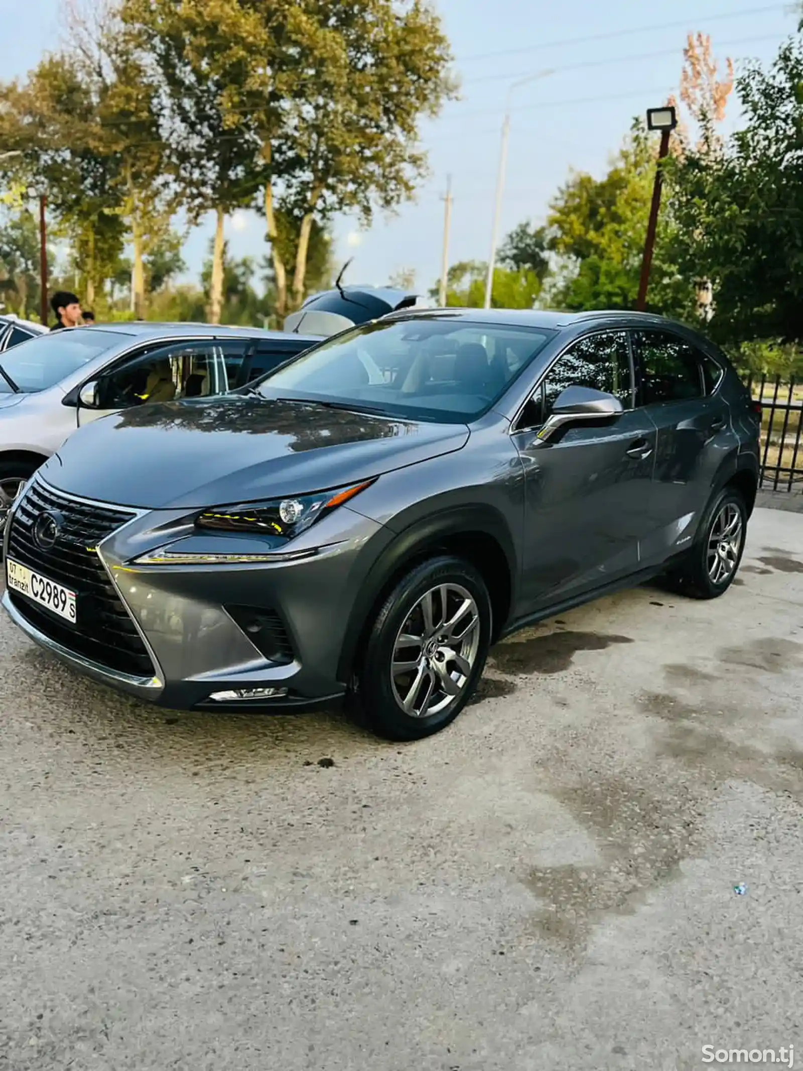 Lexus NX series, 2022-3